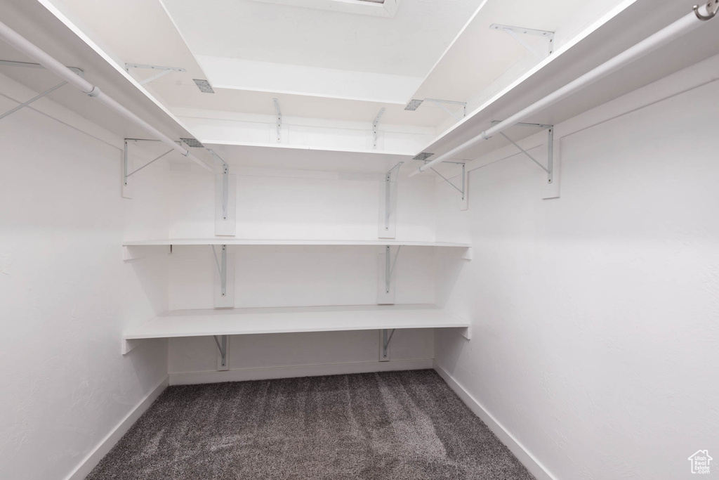 Walk in closet featuring carpet floors