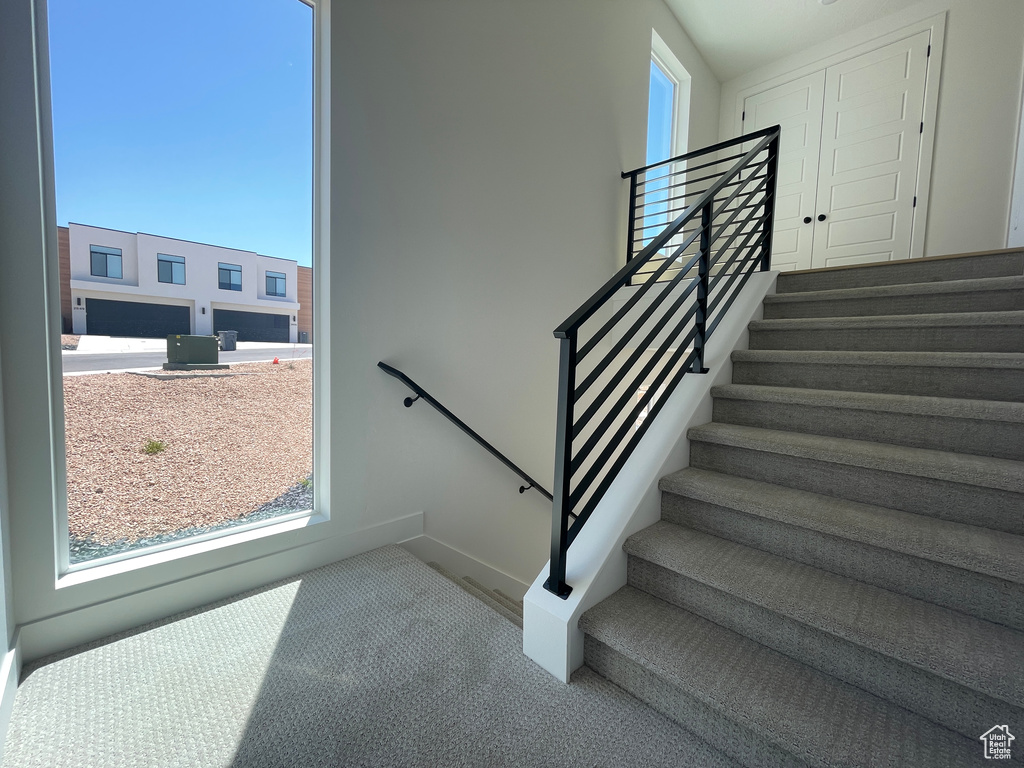 Stairway featuring carpet flooring and baseboards