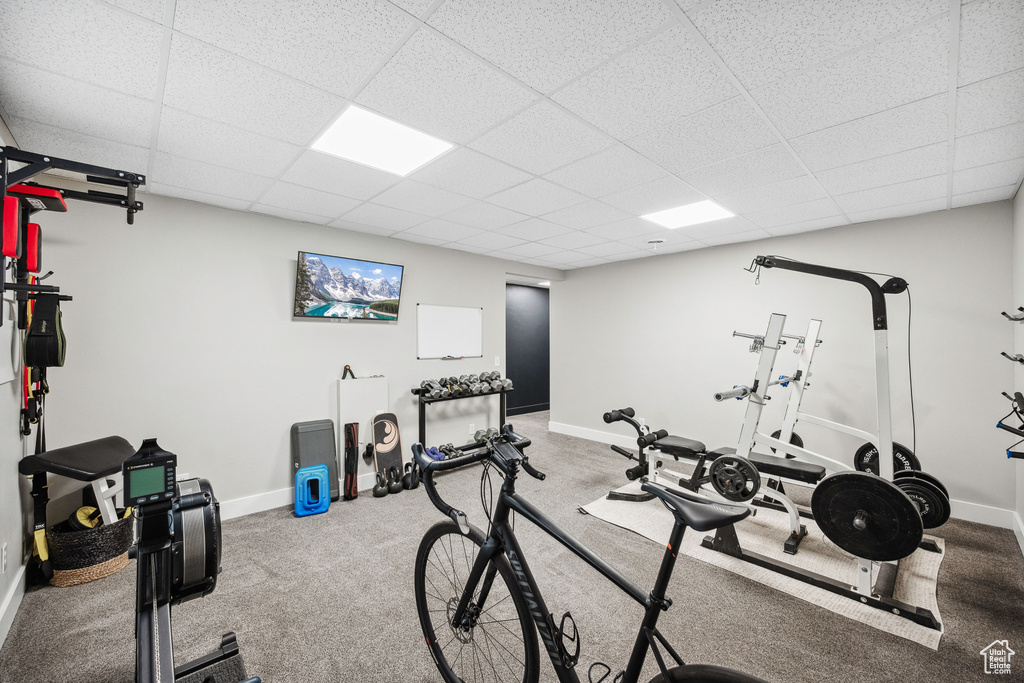 Exercise area featuring a paneled ceiling, baseboards, and carpet