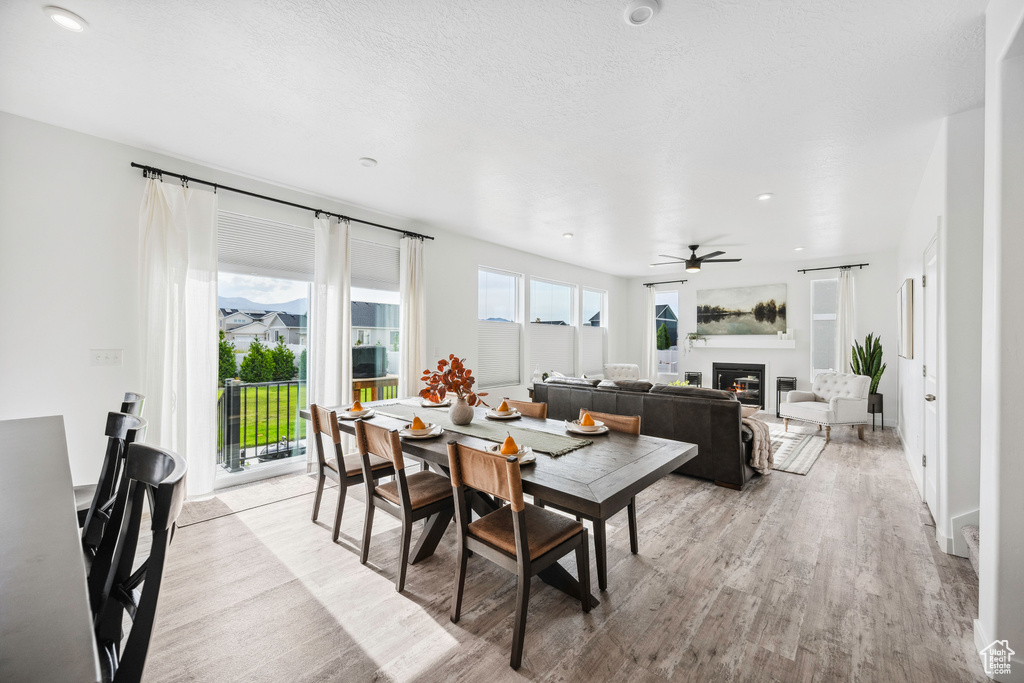 Dining space featuring light wood-style floors, a ceiling fan, a glass covered fireplace, and recessed lighting