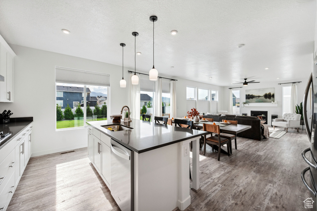 Kitchen featuring dishwasher, a sink, dark countertops, a fireplace, and light wood finished floors