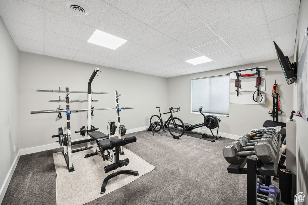 Workout room with carpet flooring, a drop ceiling, and baseboards