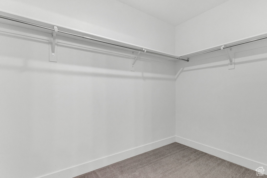 Walk in closet with carpet floors