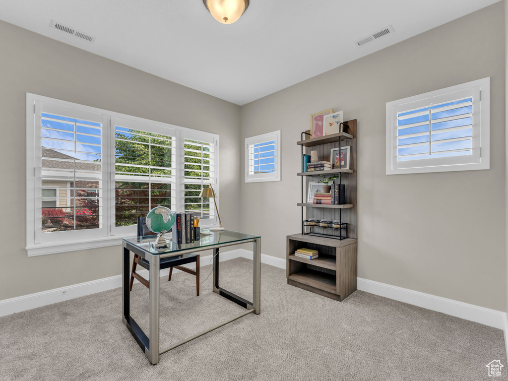 Office with carpet floors and baseboards