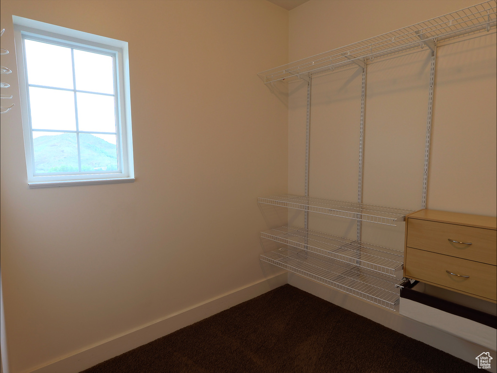 View of walk in closet