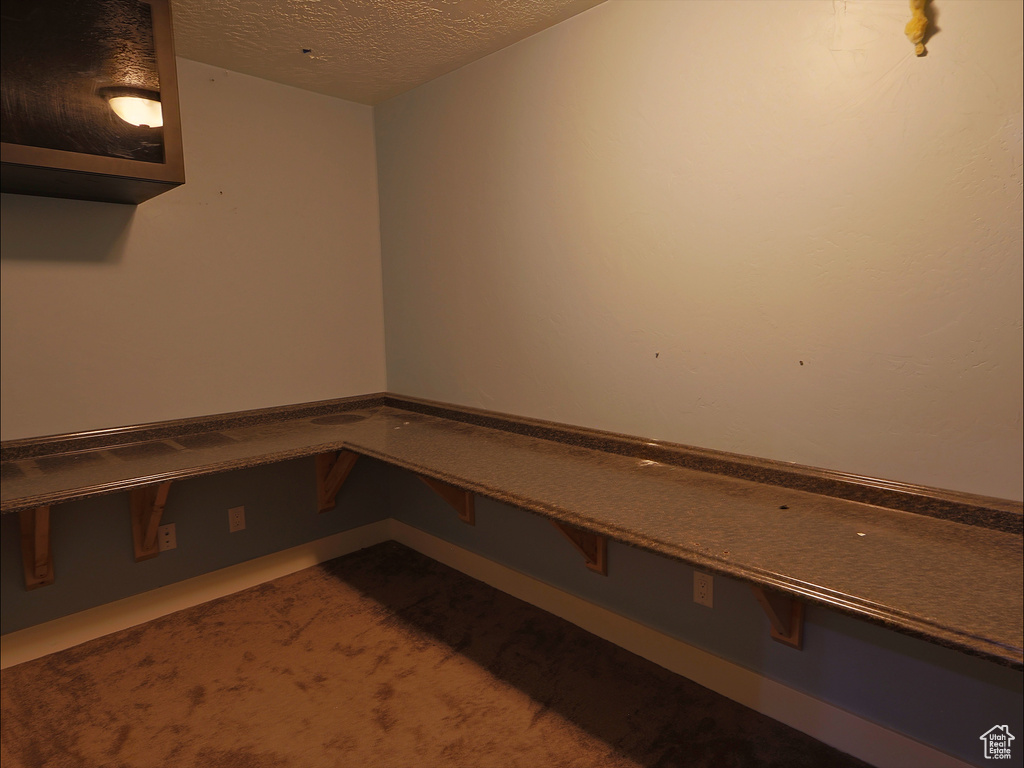 Mudroom with a textured ceiling and carpet
