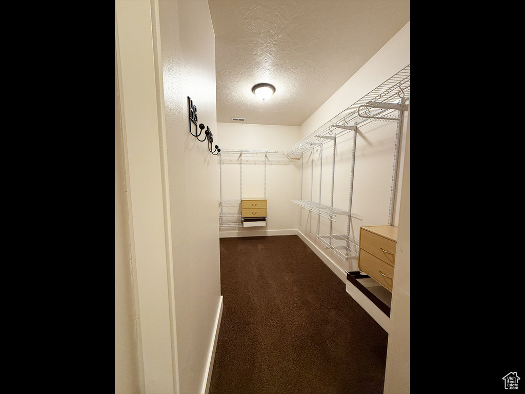 Spacious closet with dark colored carpet