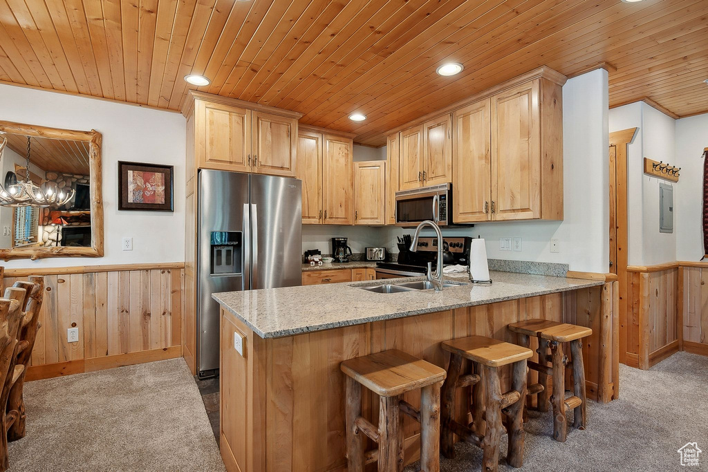 Kitchen with stainless steel appliances, wood ceiling, a wainscoted wall, carpet, and a peninsula