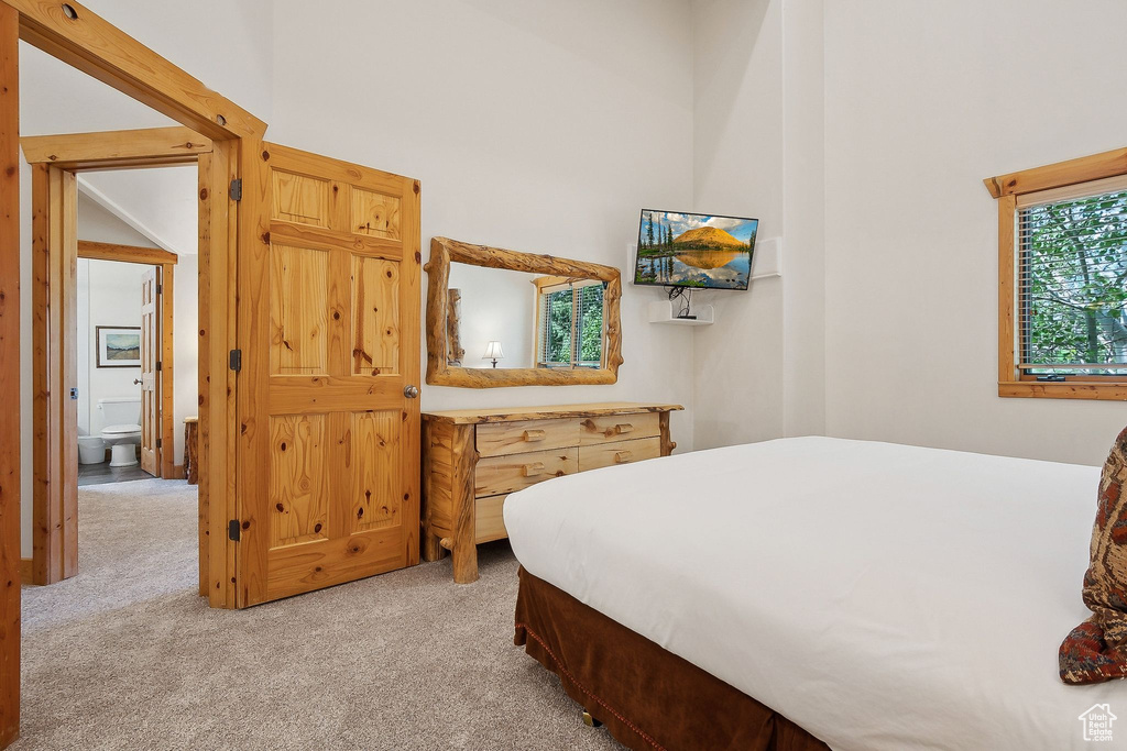 Bedroom with light carpet