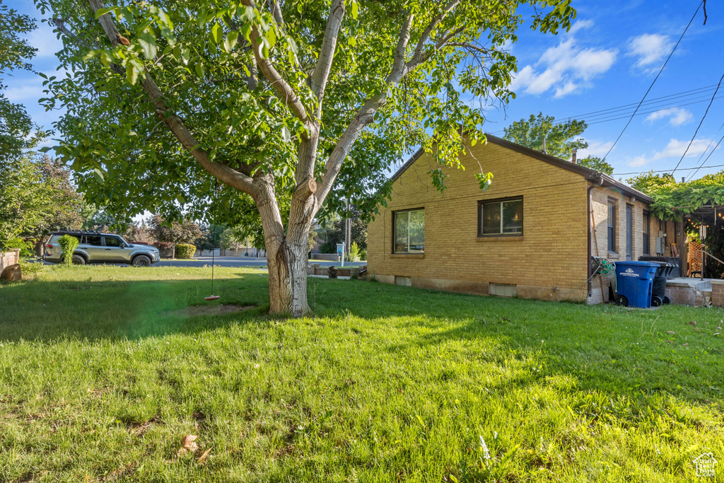 View of grassy yard