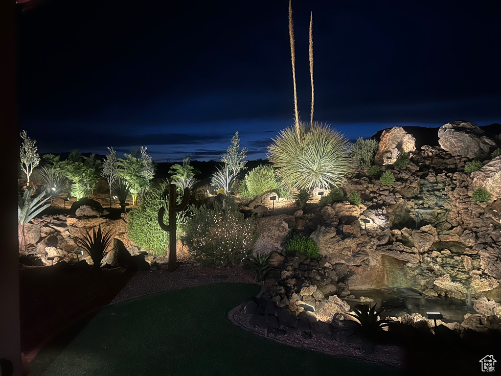 View of yard at night