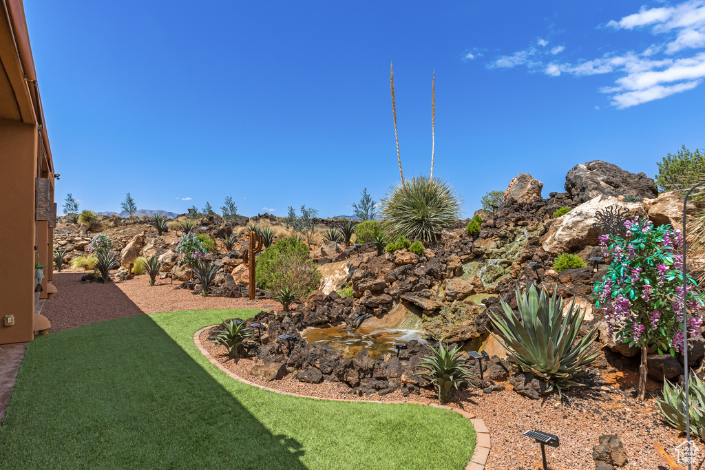 View of grassy yard