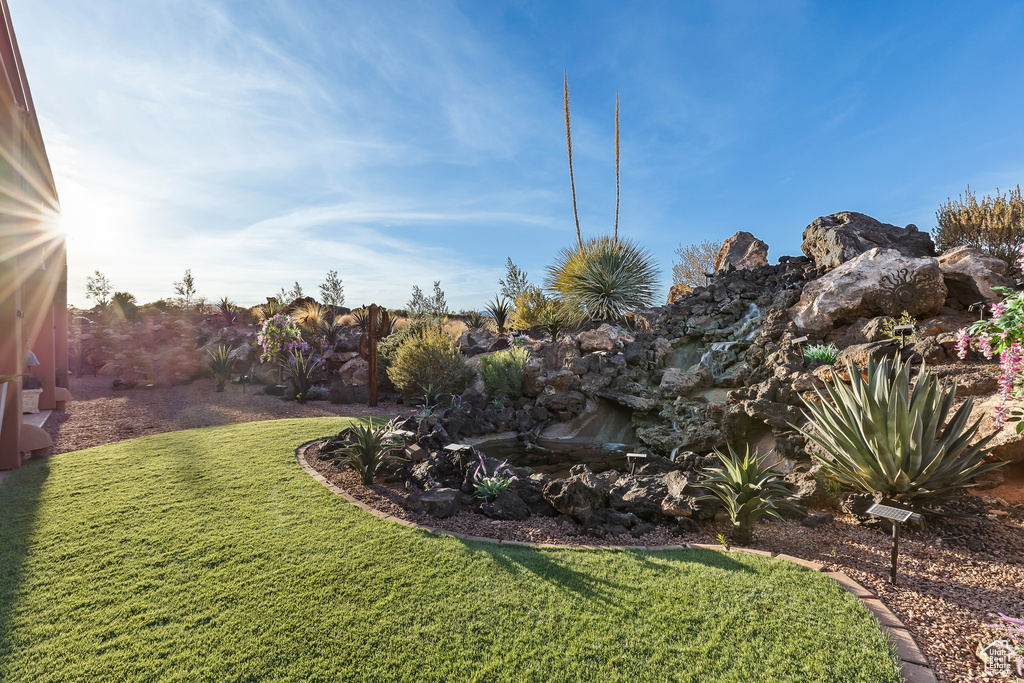 View of grassy yard