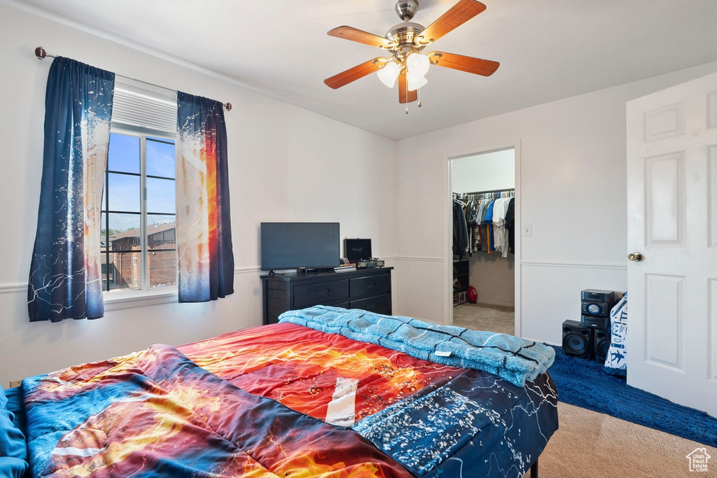 Carpeted bedroom featuring a walk in closet and a ceiling fan