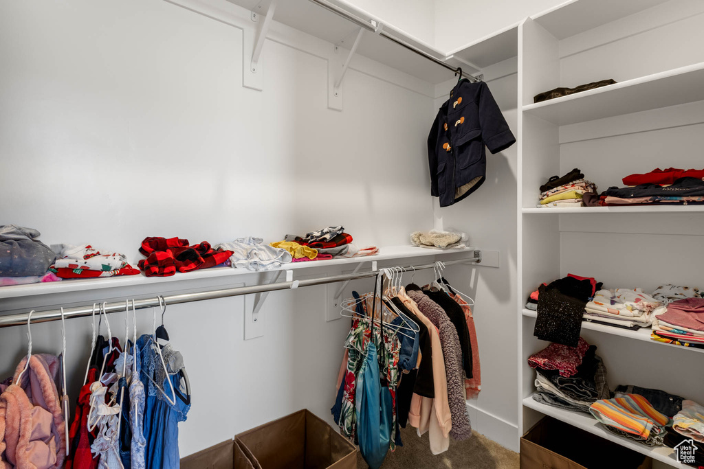 Spacious closet featuring carpet flooring