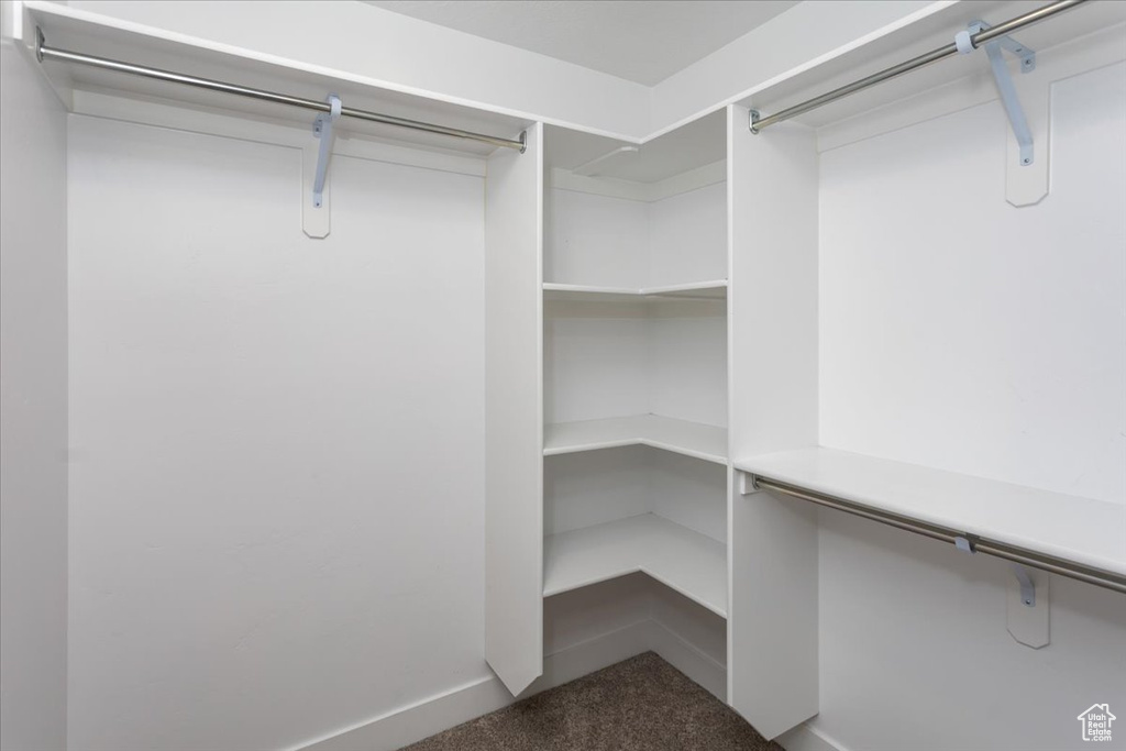 Spacious closet featuring carpet floors