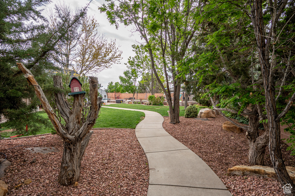 View of property's community with a yard