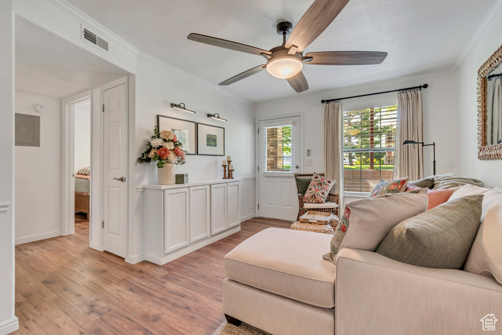 Living room with light wood-style flooring, a ceiling fan, ornamental molding, electric panel, and baseboards