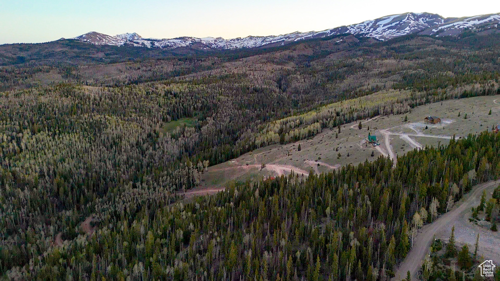 Mountain view with a forest