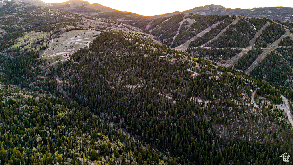 Mountain view featuring a heavily wooded area