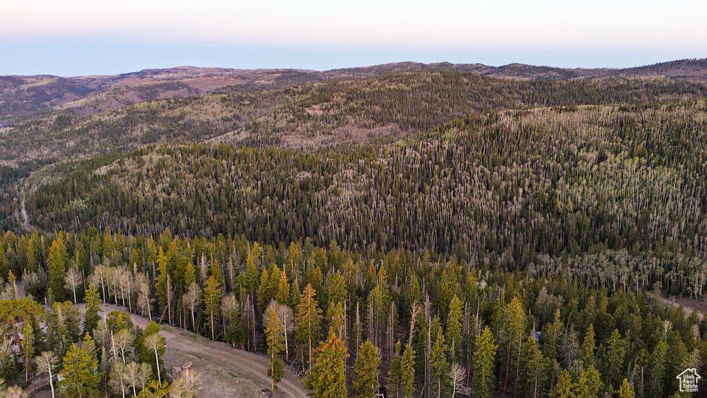 View of mountain background with a forest
