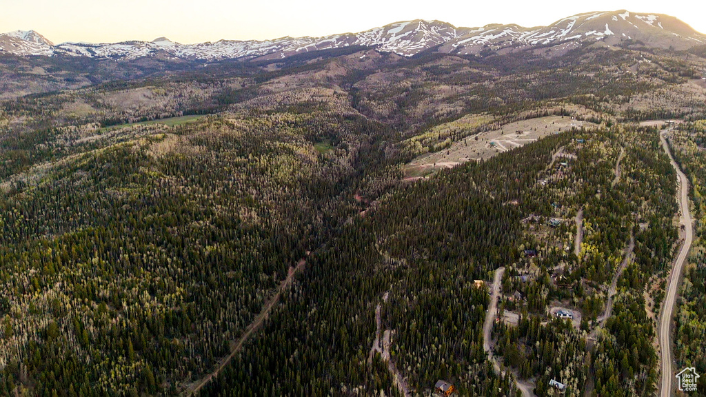 View of mountain backdrop featuring a heavily wooded area