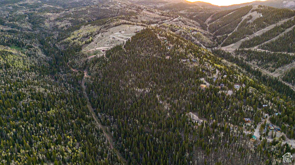 View of mountain backdrop featuring a heavily wooded area