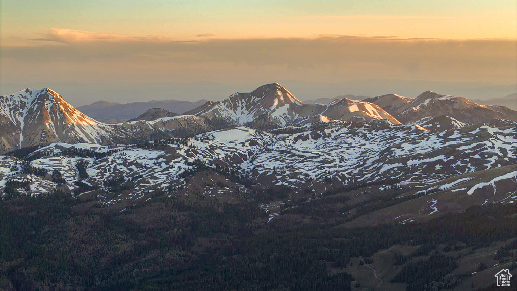 View of mountain background with a heavily wooded area
