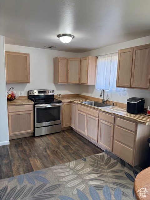 Kitchen featuring stainless steel electric range oven, light brown cabinets, a sink, and dark wood-type flooring