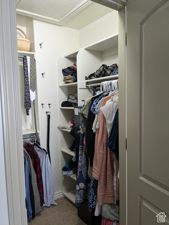 Spacious closet with carpet