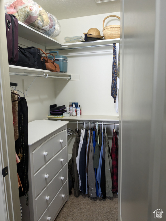 Spacious closet with carpet floors