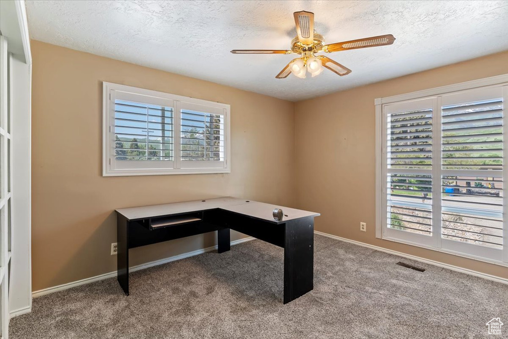 Unfurnished office featuring ceiling fan, carpet flooring, a textured ceiling, and baseboards
