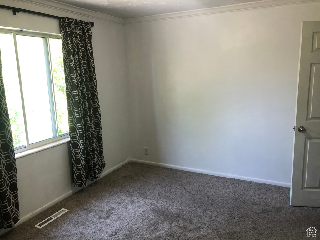 Carpeted spare room featuring baseboards and ornamental molding