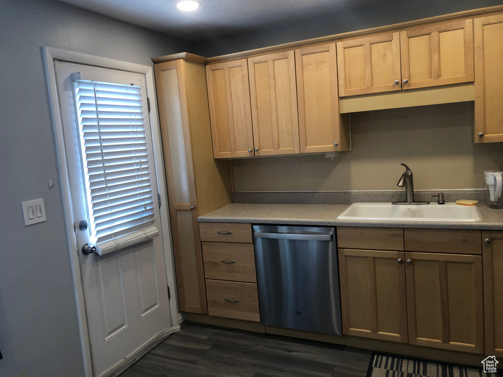 Kitchen with stainless steel dishwasher, a sink, dark wood finished floors, and recessed lighting