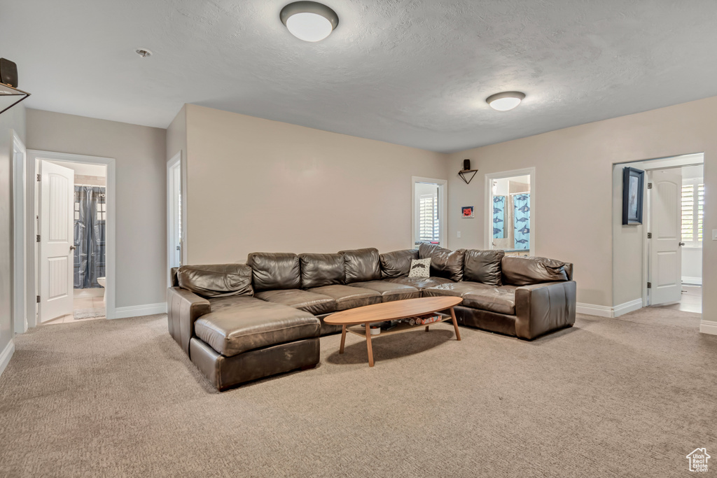 Living area featuring light colored carpet, baseboards, and a textured ceiling
