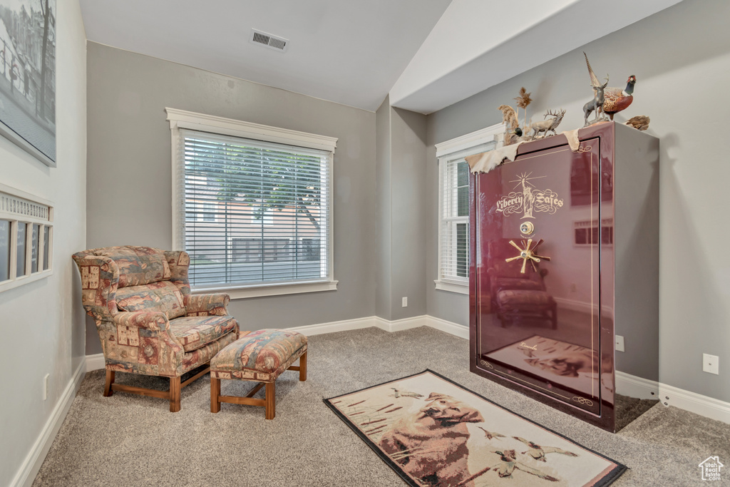 Sitting room featuring carpet, healthy amount of natural light, lofted ceiling, and baseboards