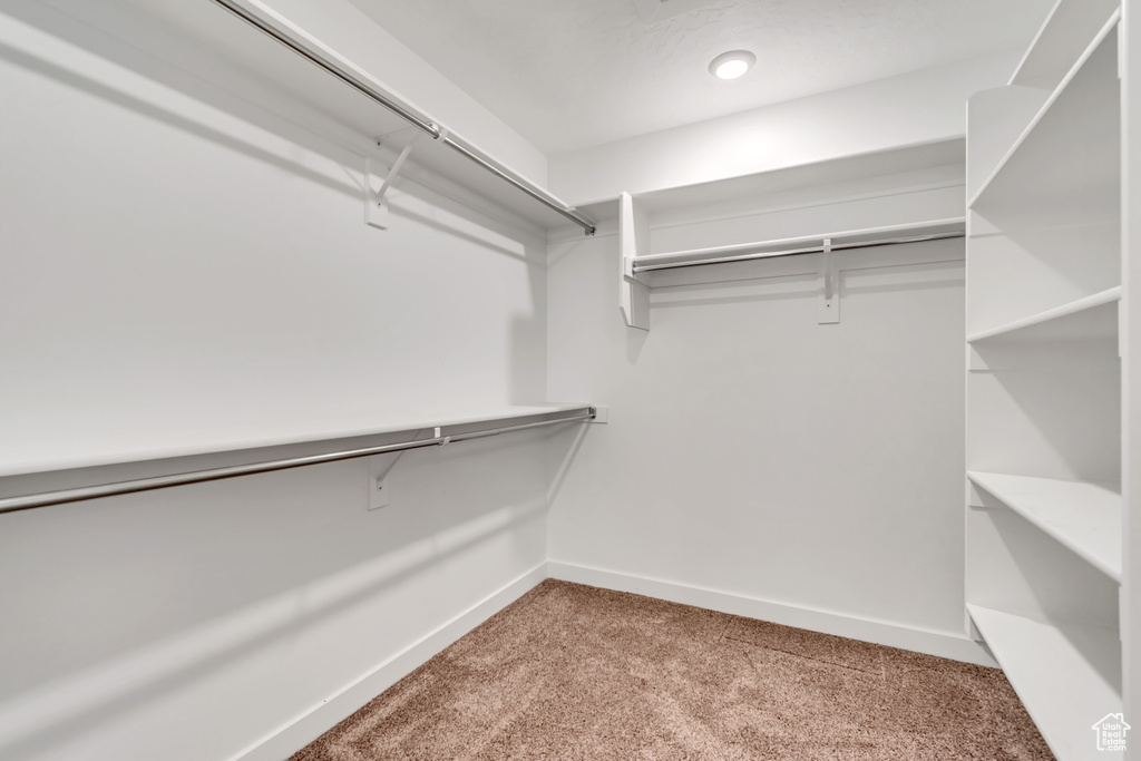 Walk in closet featuring carpet flooring