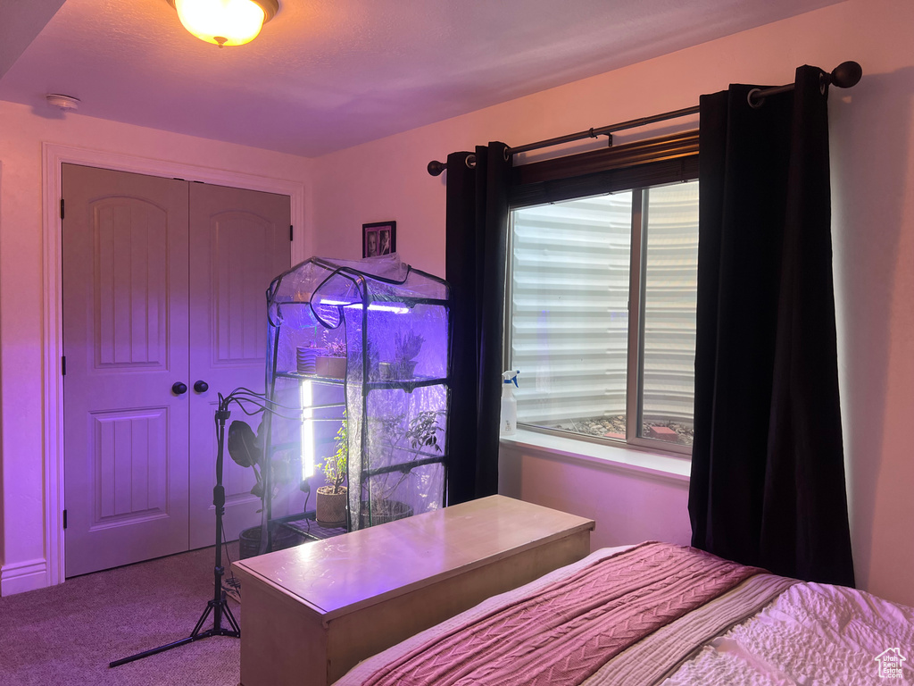 Bedroom with carpet and a closet