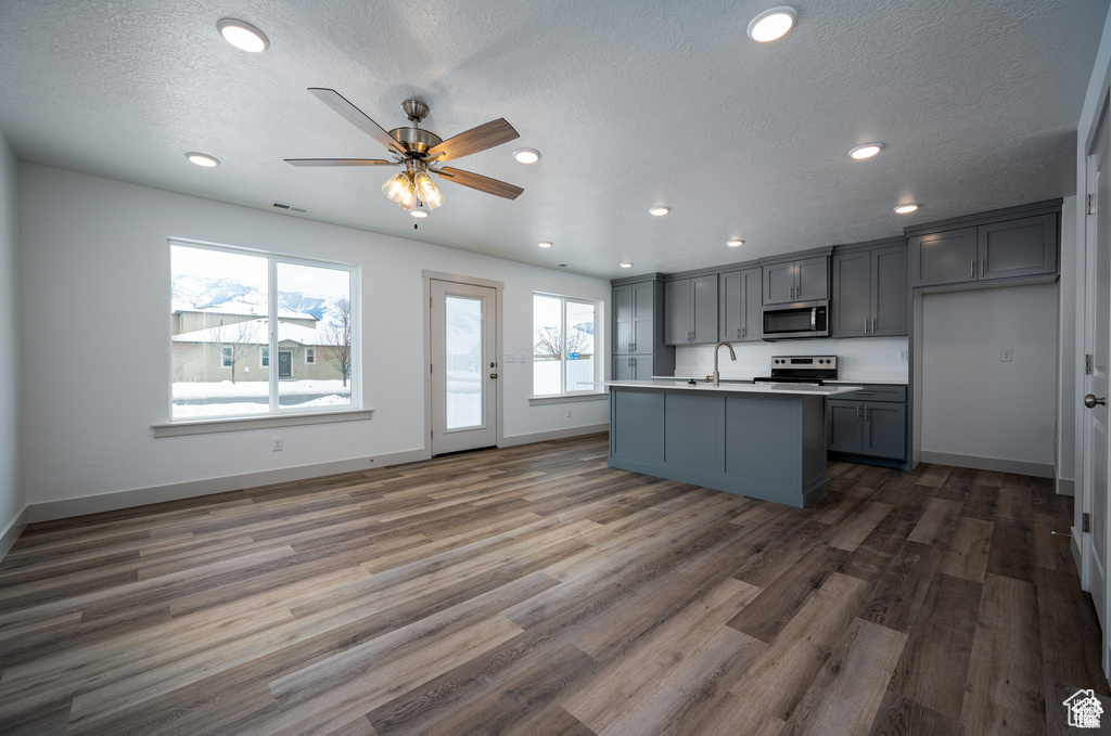 Kitchen featuring stainless steel appliances, a sink, gray cabinetry, recessed lighting, and dark wood-style flooring