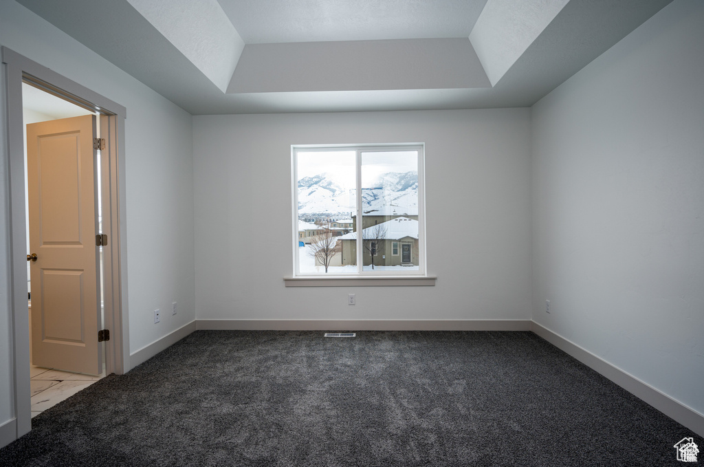 Spare room with a raised ceiling, carpet, and baseboards