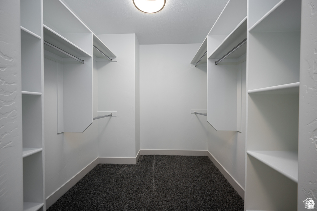 Spacious closet featuring dark carpet