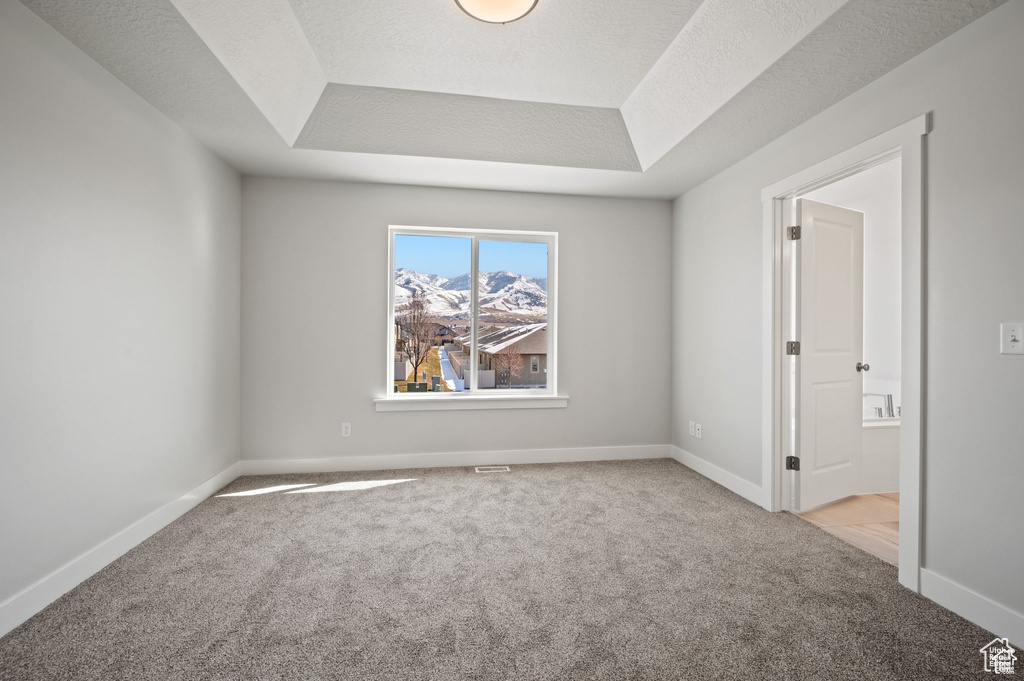 Carpeted empty room with a raised ceiling and baseboards