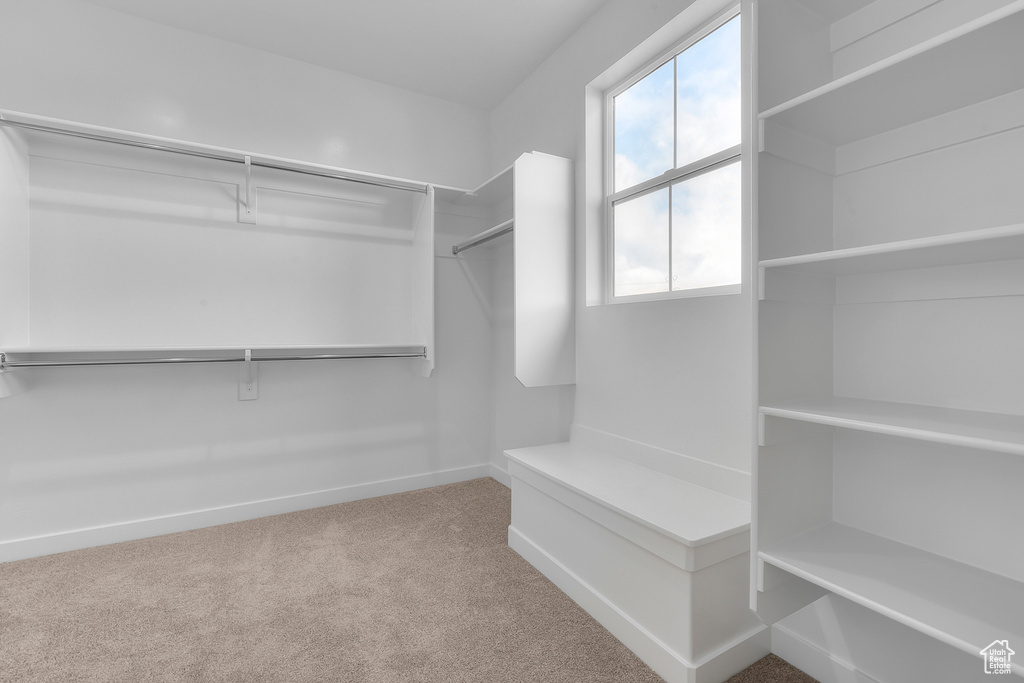 Spacious closet with carpet floors