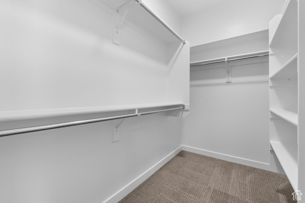Spacious closet with carpet flooring and attic access
