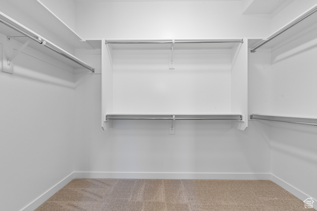 Walk in closet featuring carpet