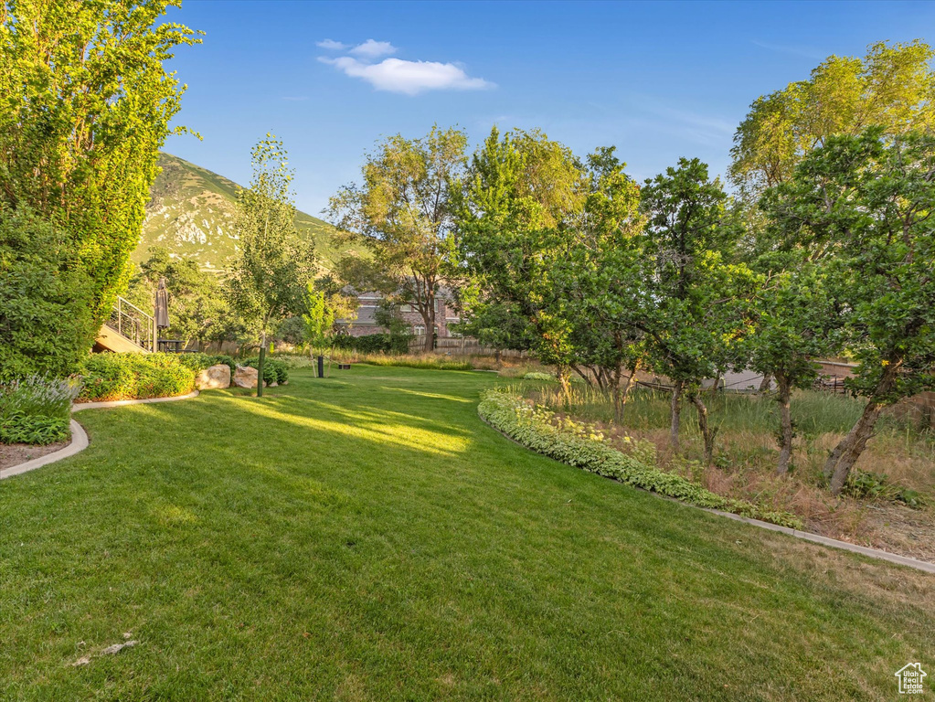 View of grassy yard featuring a mountain view