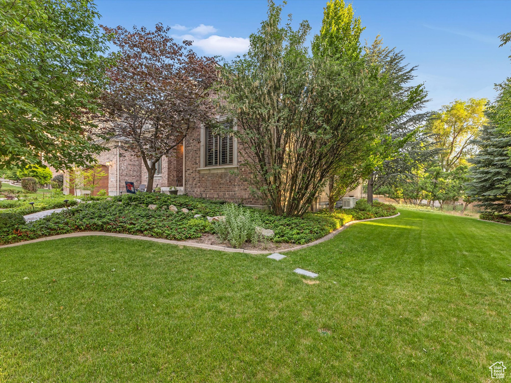 View of grassy yard