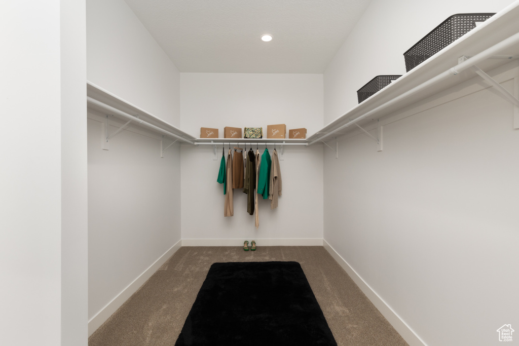 Walk in closet featuring carpet floors