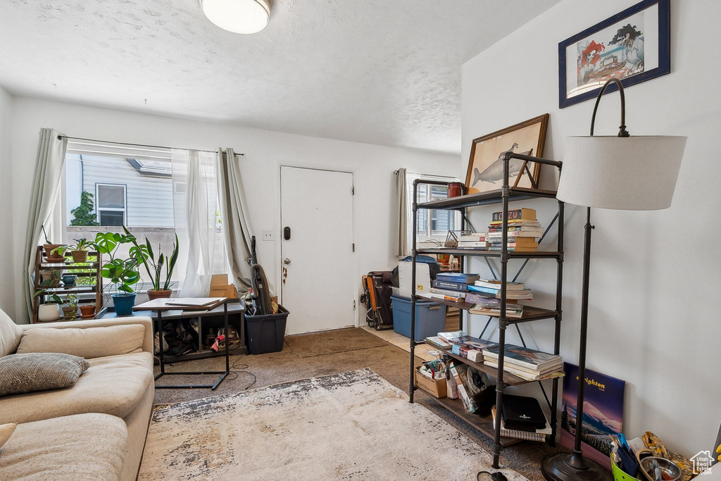 Living area with plenty of natural light, carpet floors, and a textured ceiling
