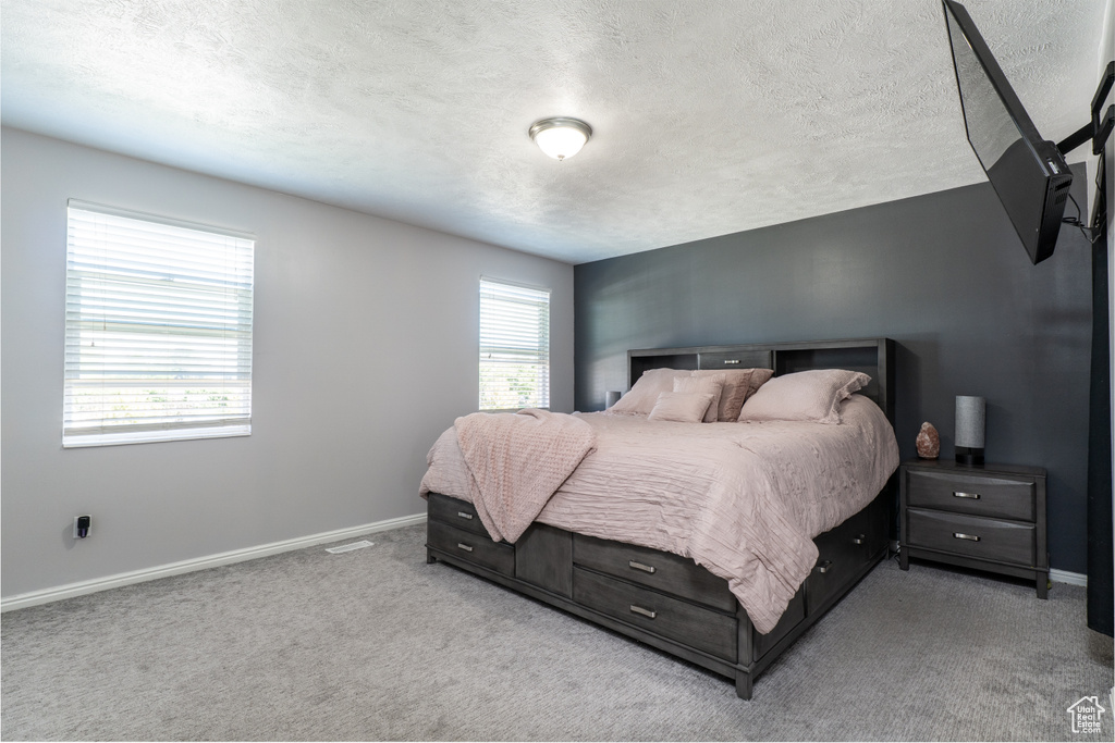Bedroom featuring baseboards, light colored carpet, and a textured ceiling